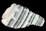 Free-Standing, Banded Zebra Calcite - Mexico #155774-2